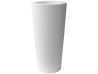 Pot Ilie