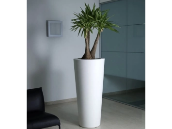 Pot Ilie
