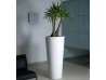 Pot Ilie