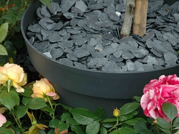 Ardoise Bleue argent 30/60 mm