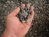 Gravier Grey perle 8/16 mm