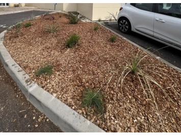 Toile de paillage non tissée 110gr / m²