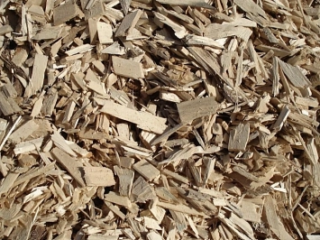 Copeaux de Peuplier 10/50 mm