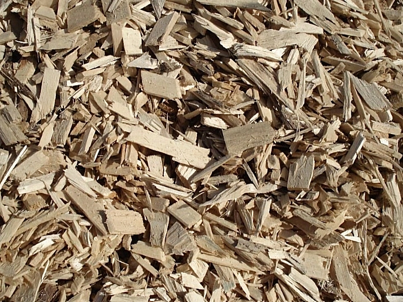 Copeaux de Peuplier 10/50 mm