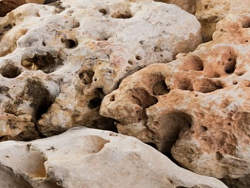 Roche Nougat 10/30 cm