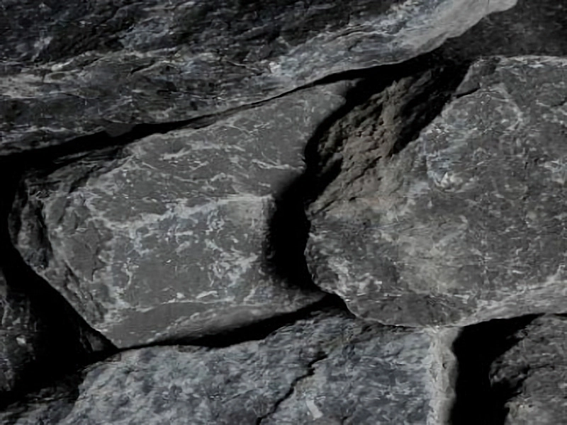 Roche Dakar 50/80 CM