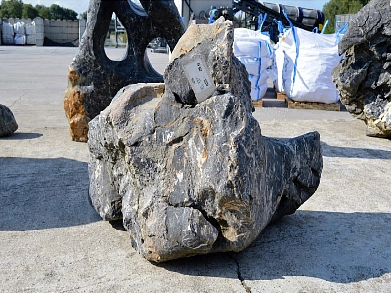 Roche Lifestone 300 kg à 1000 kg