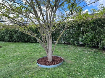 Bordure BorderStyle® Acier Tour d'Arbre H: 10 cm