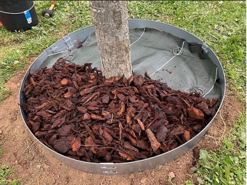 Bordure BorderStyle® Acier Tour d'Arbre H: 10 cm