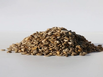 Gravillon mignonette 4/8