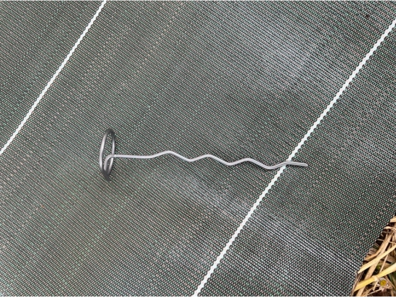 Agrafe Picanter 3D (100 unités)