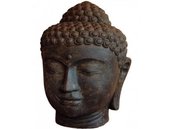 Statue tête de Bouddha H: 50 cm
