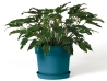 Pot Tellus