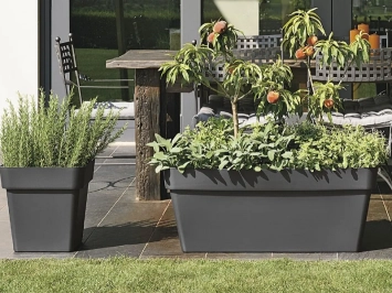 Jardinière Mitu Pac