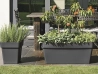 Jardinière Mitu Pac